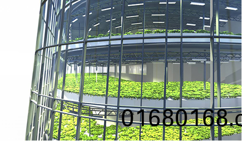 百度截圖20180118111900